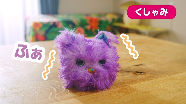 Amazon.co.jp: ふしぎなわたげ フワモコロン にゃんぽぽ : おもちゃ