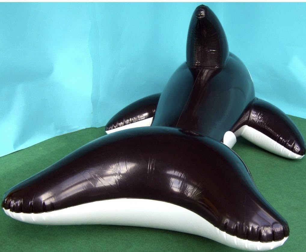 スカンク ブラック ツヤあり フロート 空気ビニール風船 浮き輪 レア