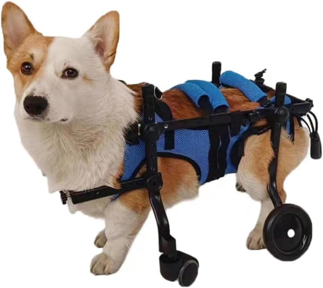 犬用車椅子(ポチの車イス)4輪 介護 ペット用車椅子 4輪 大型 犬用