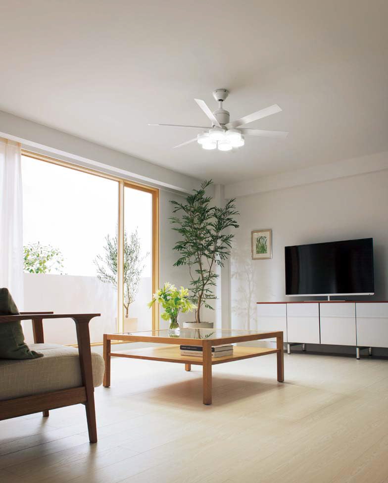 Amazon | WF239 オーデリック シーリングファン | ODELIC