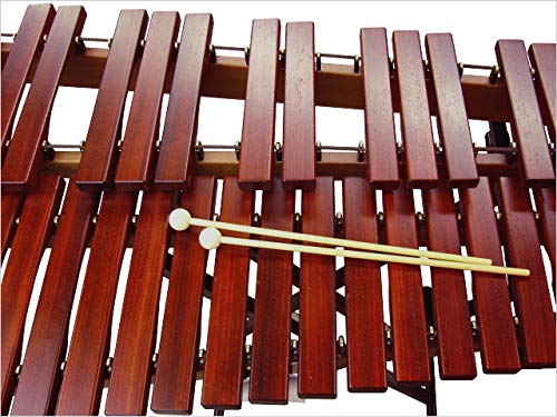 Amazon | コオロギ 練習用 マリンバ RM40 専用スタンドセット 3・1/3