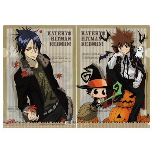 家庭教師ヒットマンREBORN! リボーン 複製原画2点セット 家庭教師