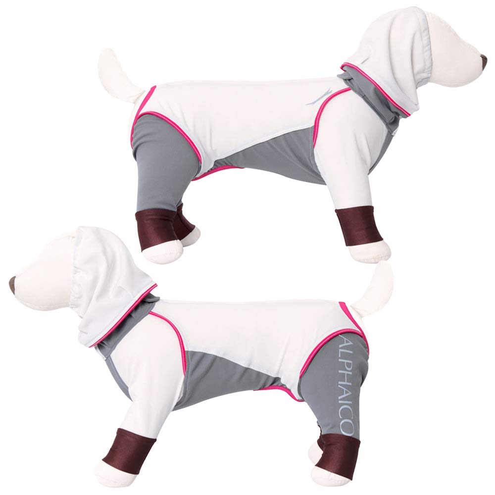 Amazon | レインドッグガード(2021年モデル)(ブルーグレー,XL