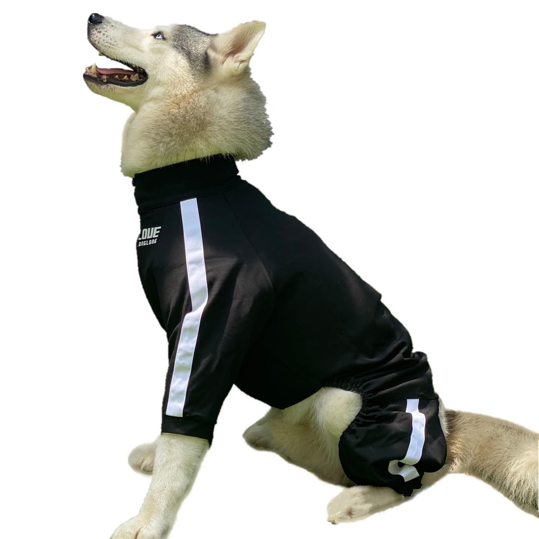 木と鳥の犬の服 MANDARINE BROTHERS マンダリンブラザーズ ドッグ