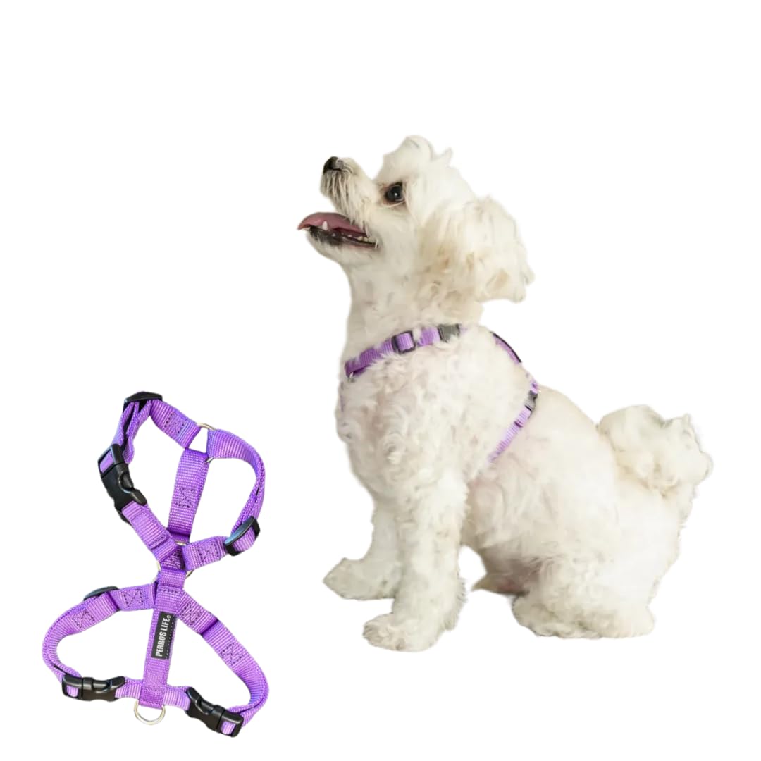 Amazon | 犬用ハーネス 超小型犬 小型犬用【PERROS ペルロスハーネスXS