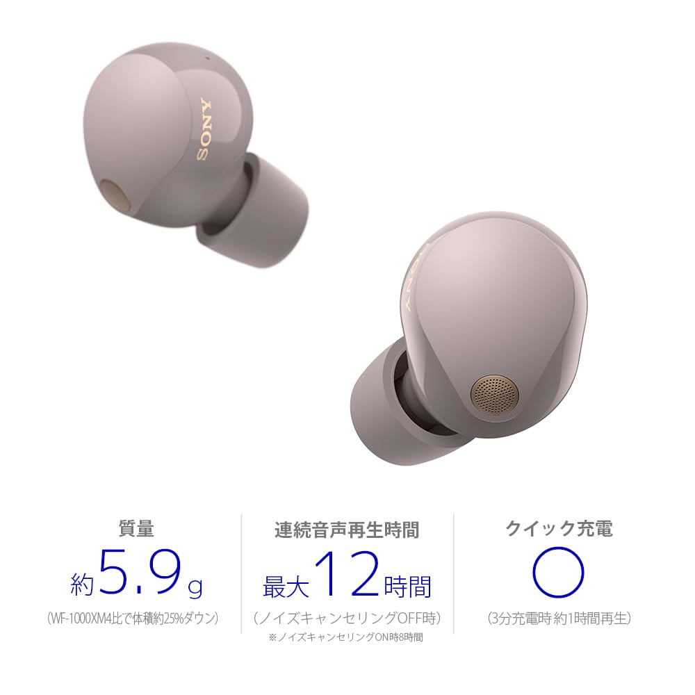 Amazon.co.jp: Sony (SONY) Wireless Noise-Canceling Earphones WF