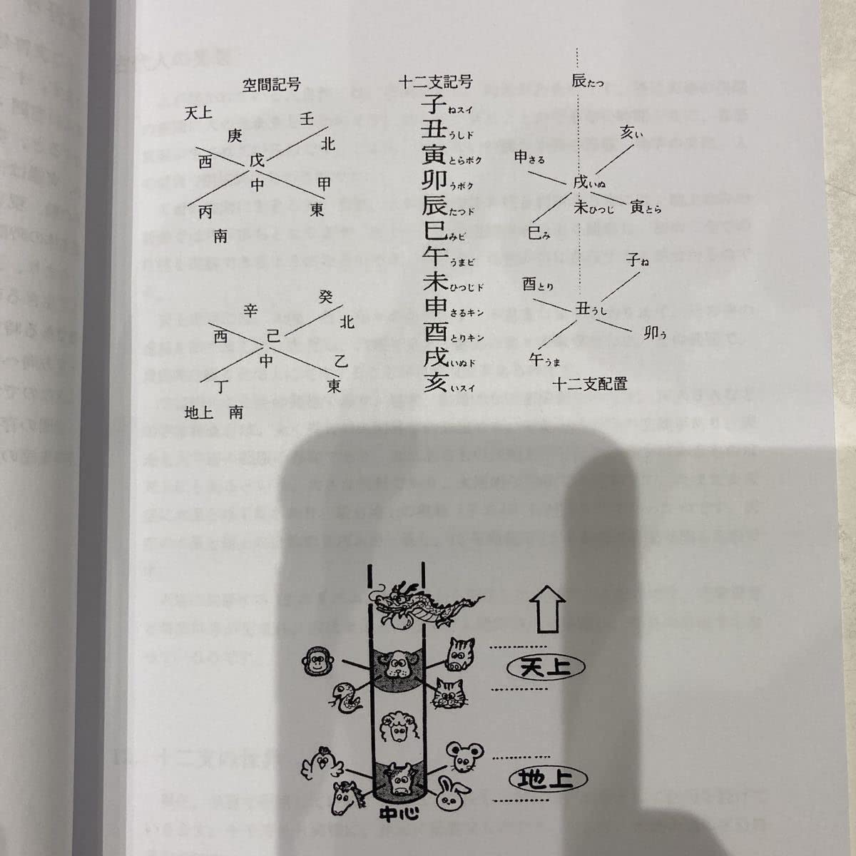 算命学 師範科編第二巻 伝習院 野島和信 算命学 師範科編第二巻 伝習院