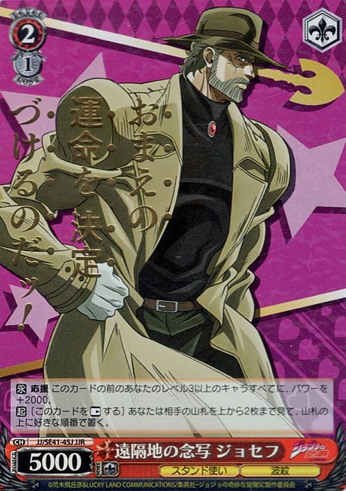 SP 自由な生き様 イギー&ザ・フール ヴァイスシュヴァルツ psa 10 SP