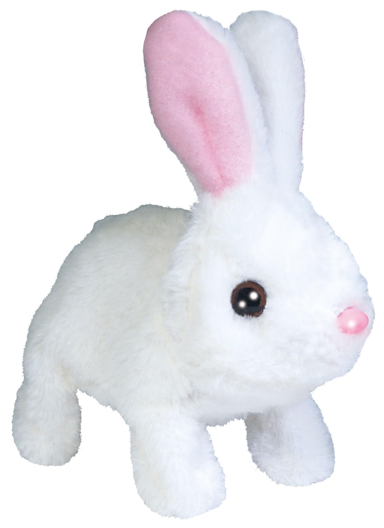 Amazon.co.jp: HAC おさんぽ うさぎちゃん うさぎ 約W9×D14.5×H16.5cm