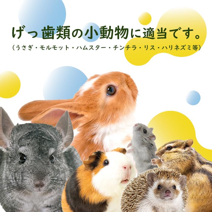 りんごのかじり木 オーダー問い合わせ専門ページ 楽天市場】かじり木