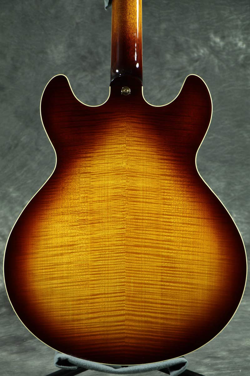 Amazon | ヤマハ エレキギター セミアコースティックギター SA-2200 VS