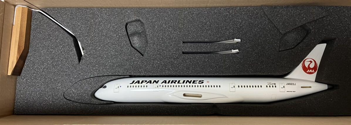 PACMIN JAPAN AIRLINES 航空機モデル 1/100 1/100 JAL MD-90 PACMIN