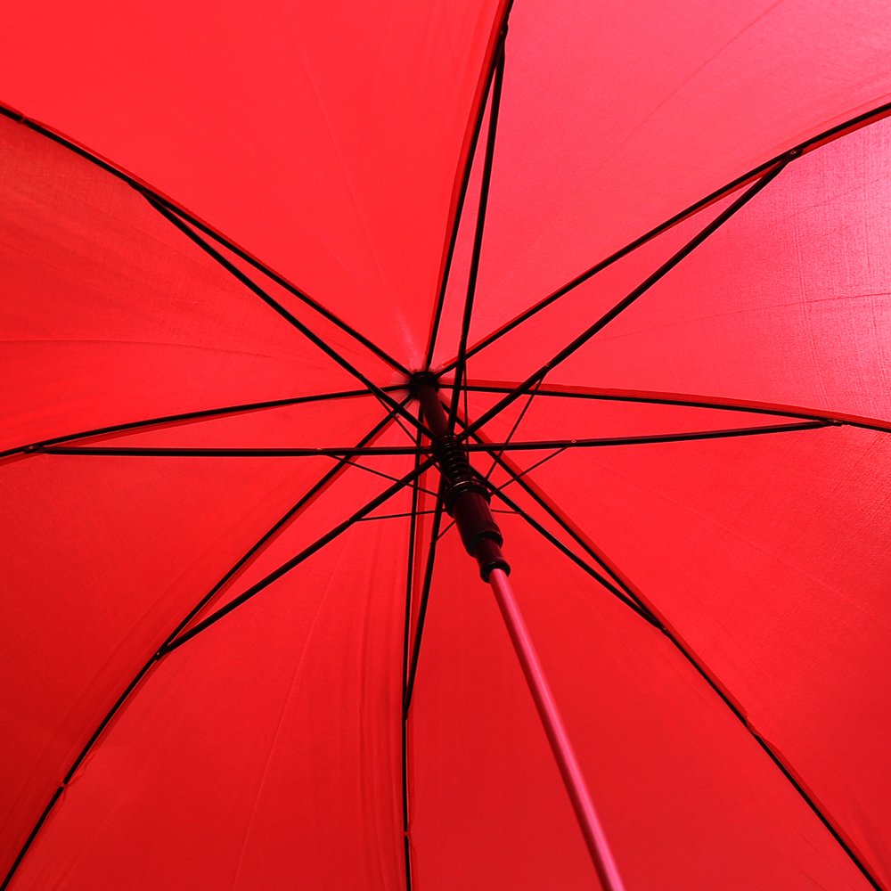 Innocent Grey 白夜開催記念パズル「Red umbrella」 Innocent Grey