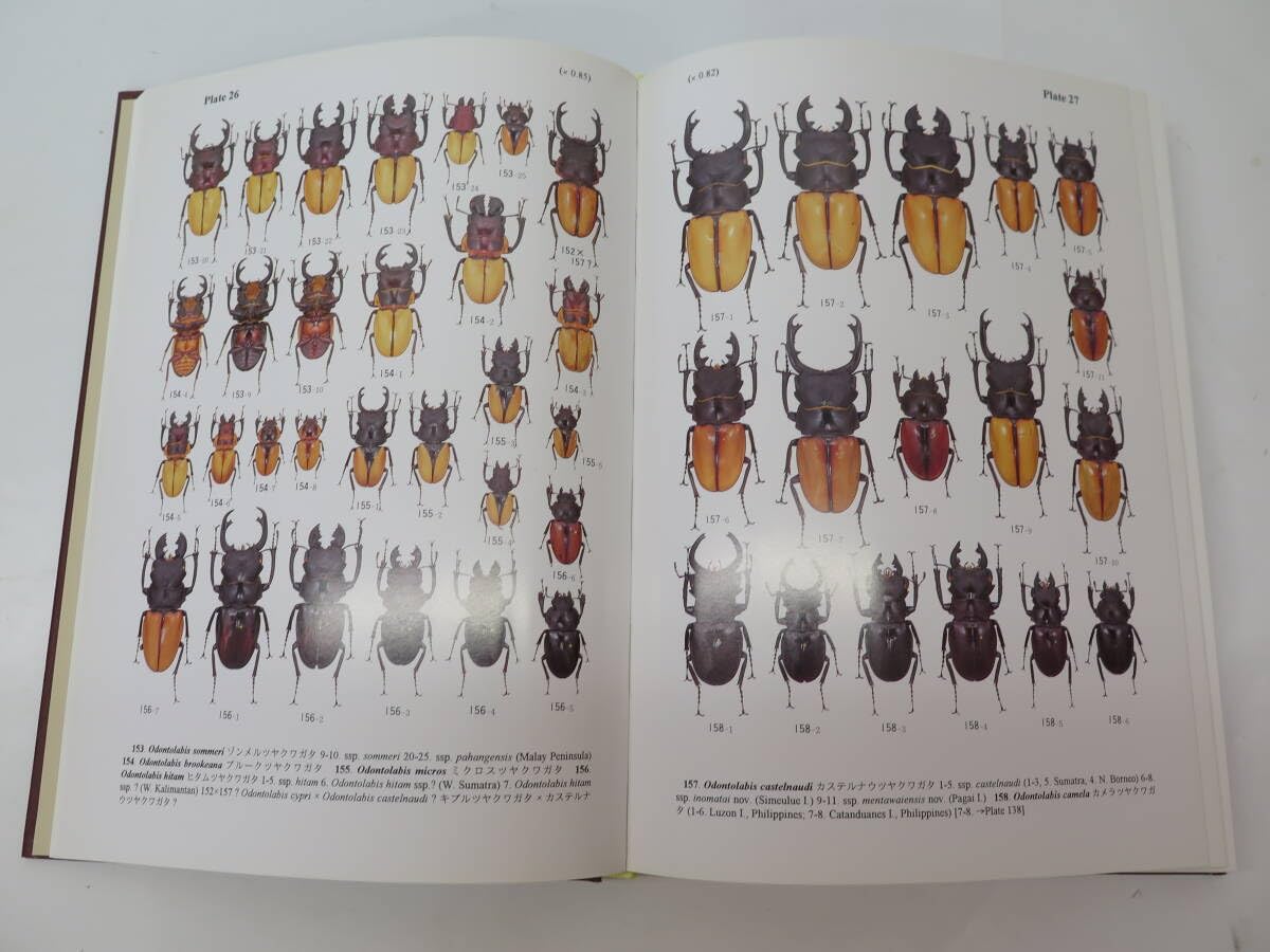 日本産クワガタムシ大図鑑／吉田賢治／虫研