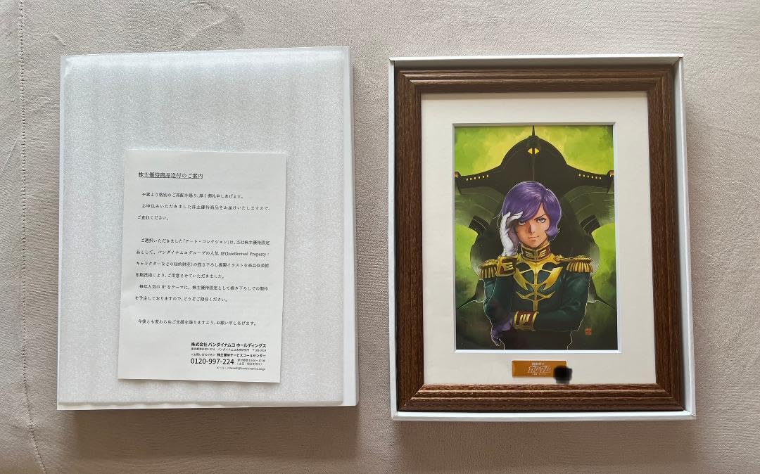 シャア・アズナブル バンナム バンダイナムコ株主優待 アート