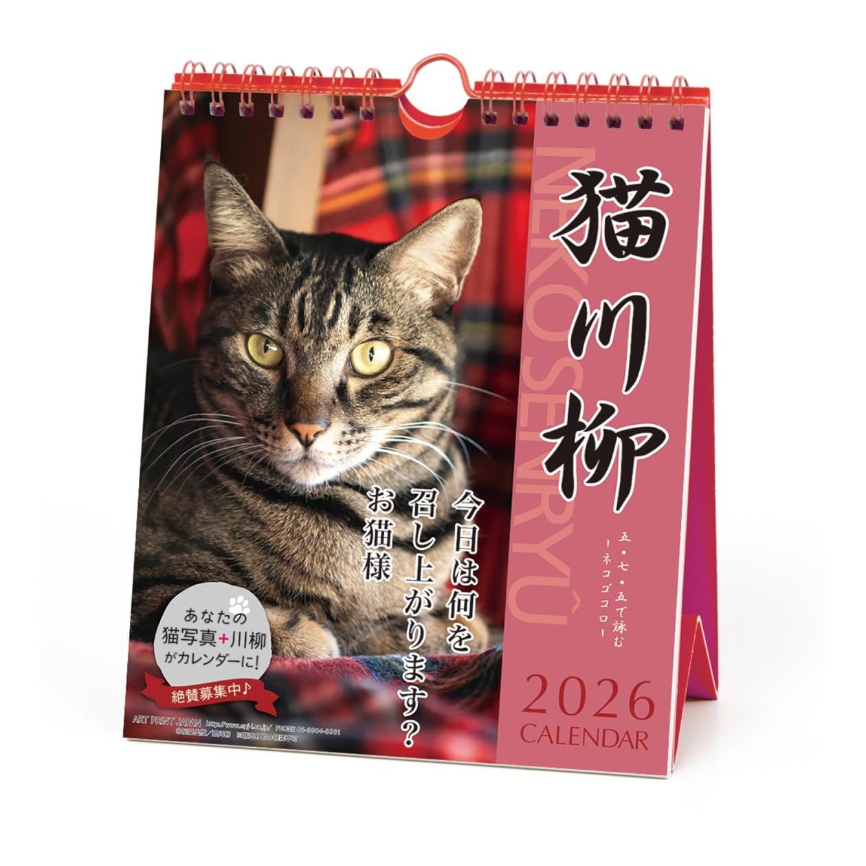 Amazon | 2026年カレンダー 猫川柳(週めくり) | カレンダー | 文房具