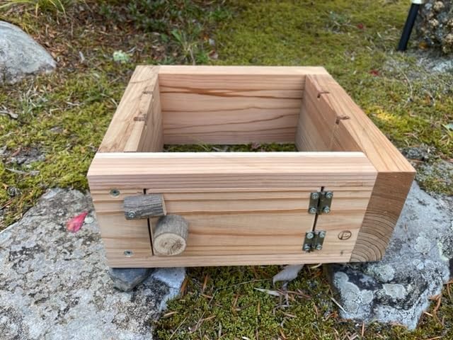 Amazon.co.jp: 日本みつばち用 飼育箱 重箱式巣箱 板厚35mm 観察窓と