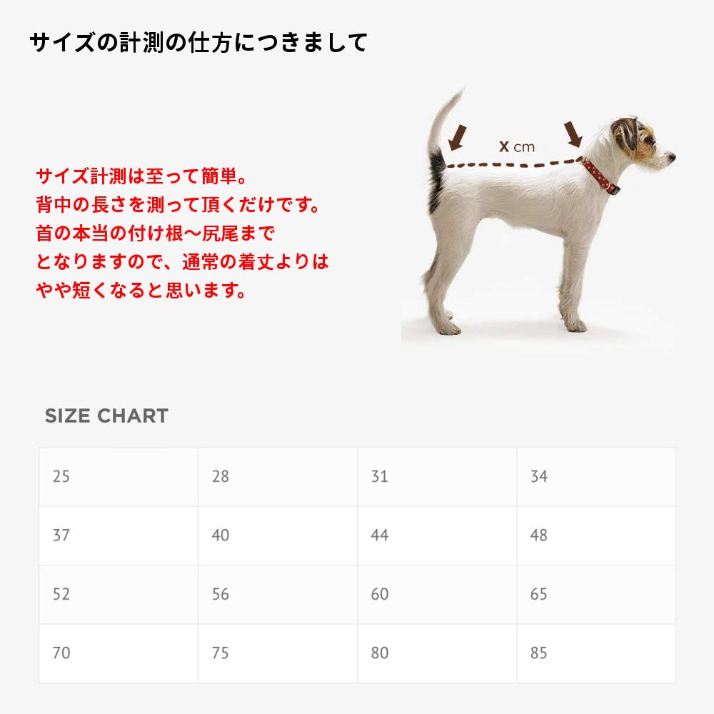 Amazon | Pomppa(ポムッパ) ペルス ポムッパ ミント 70 | Pomppa