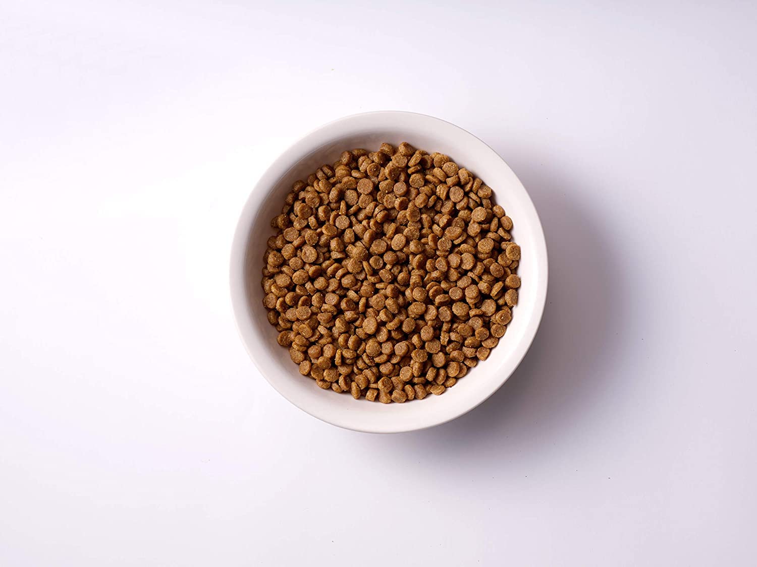 ソルビダグレインフリーチキン室内飼育体重管理用5.8kg