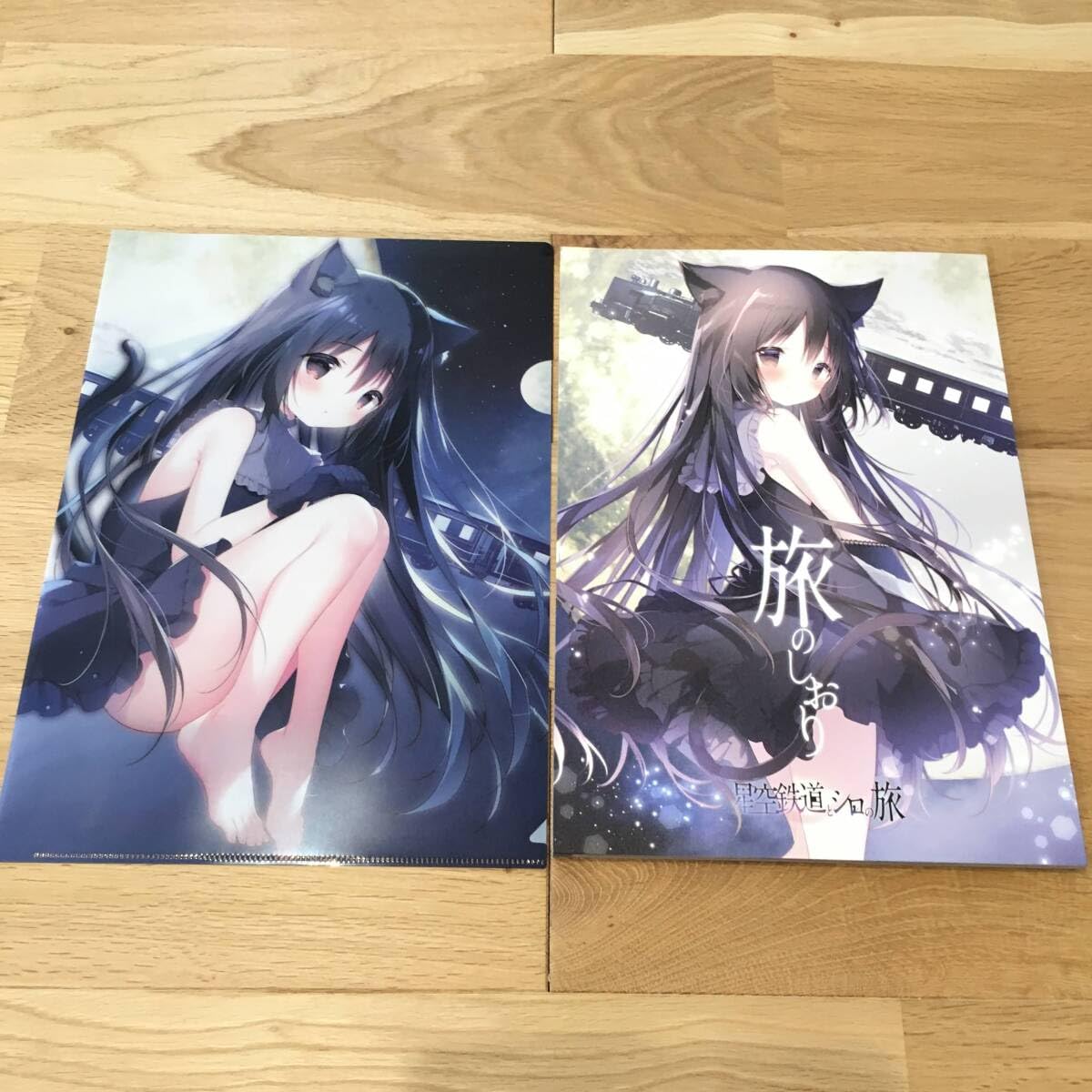 しらたま 星空鉄道とシロの旅 板上サイン入り 額装 ミニアートグラフ