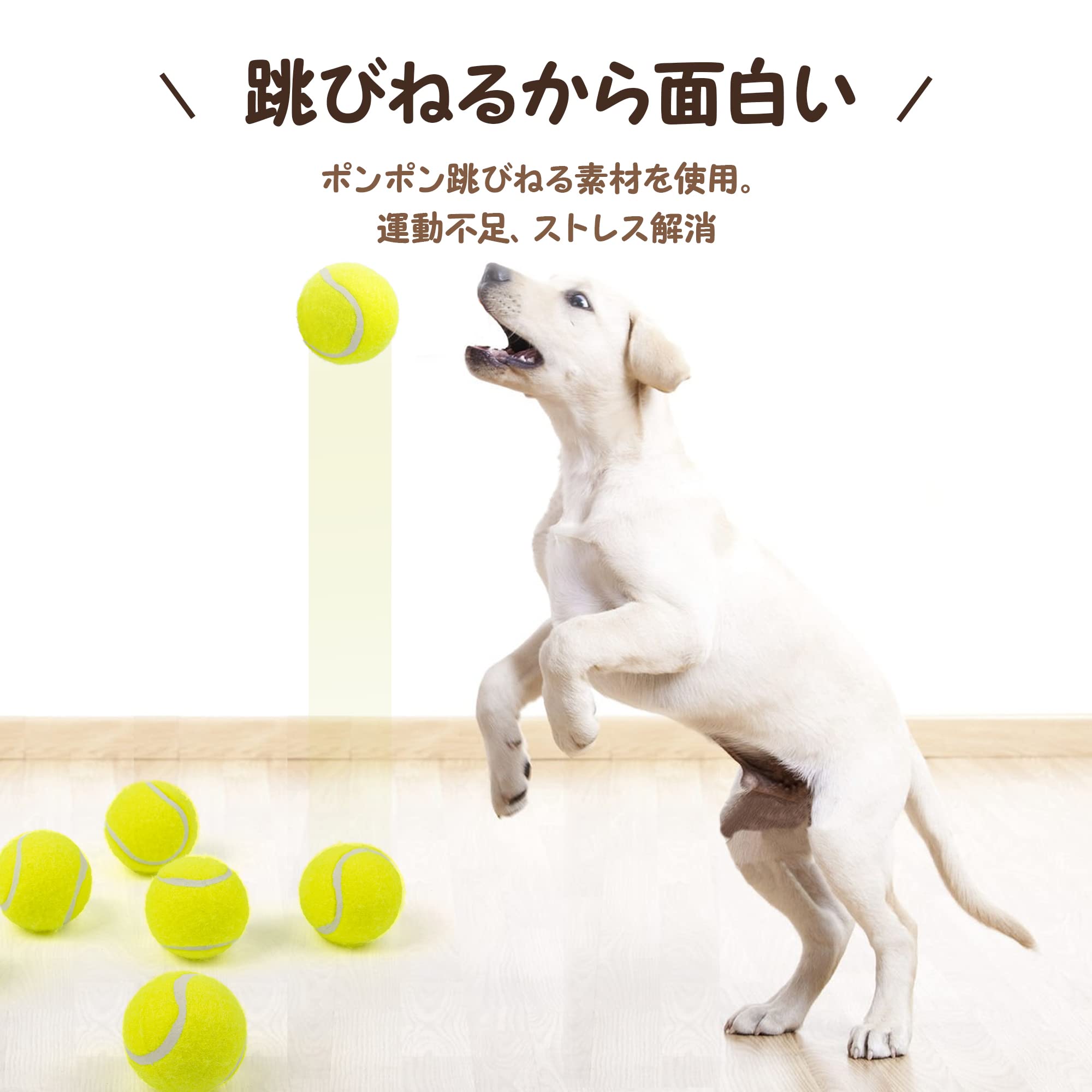 Amazon | pet prime 犬用おもちゃ ミニテニスボール 6個入り 直径5cm