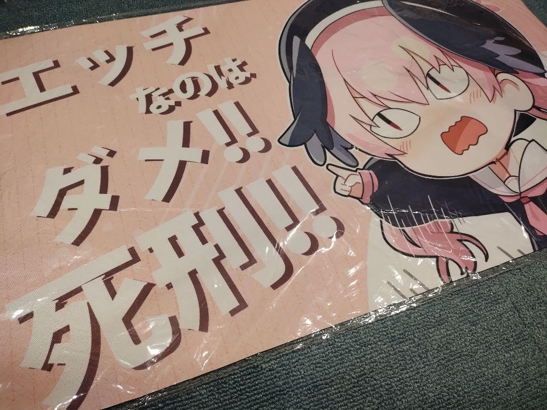 α6 ブルアカ エッチなのはダメ！死刑！ (初版)下江コハル スリーブ