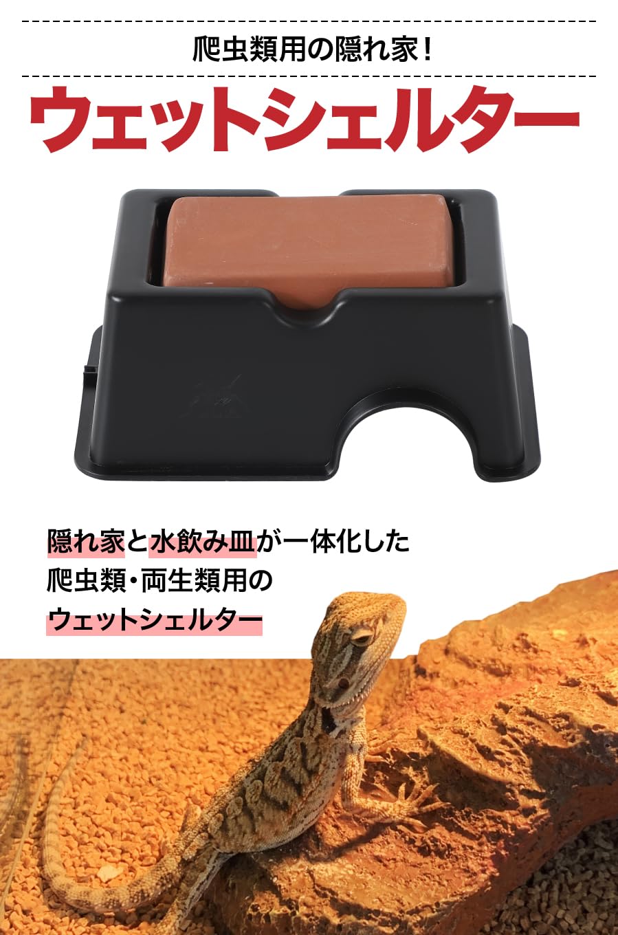 Amazon | AllBright レオパゲッコー用の隠れ家 洞窟穴 トカゲ