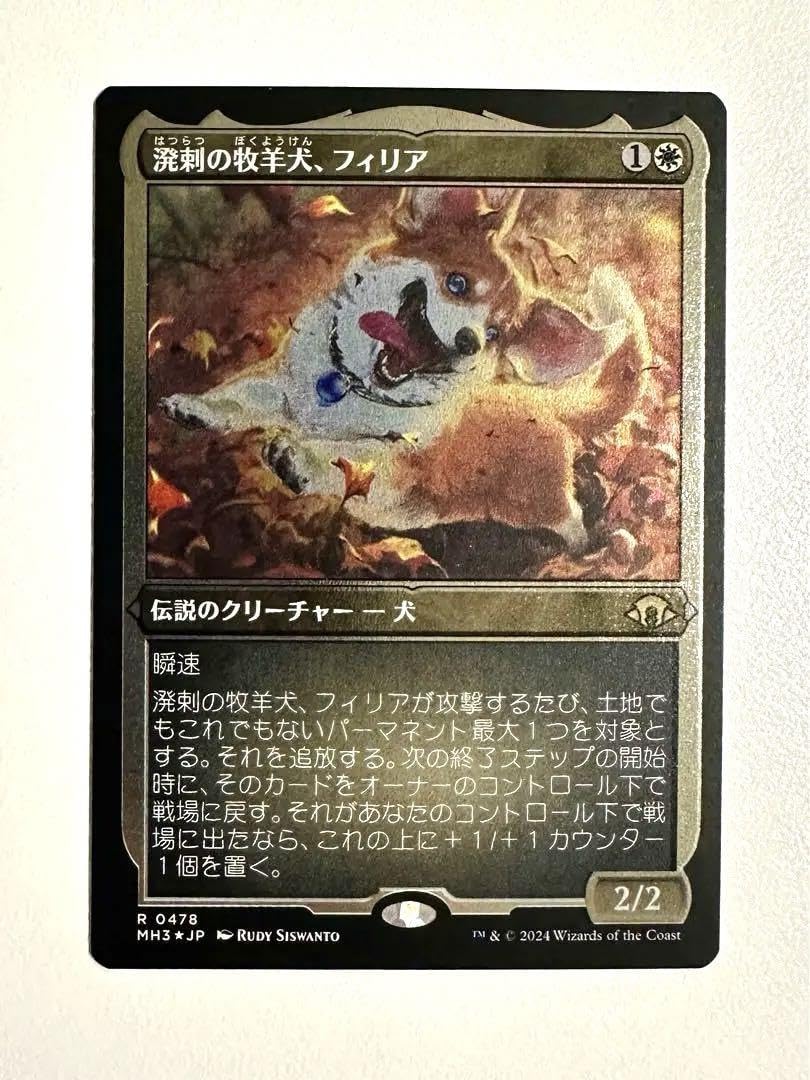 MTG 日本語 溌剌の牧羊犬、フィリア サインド 4枚セット モダン