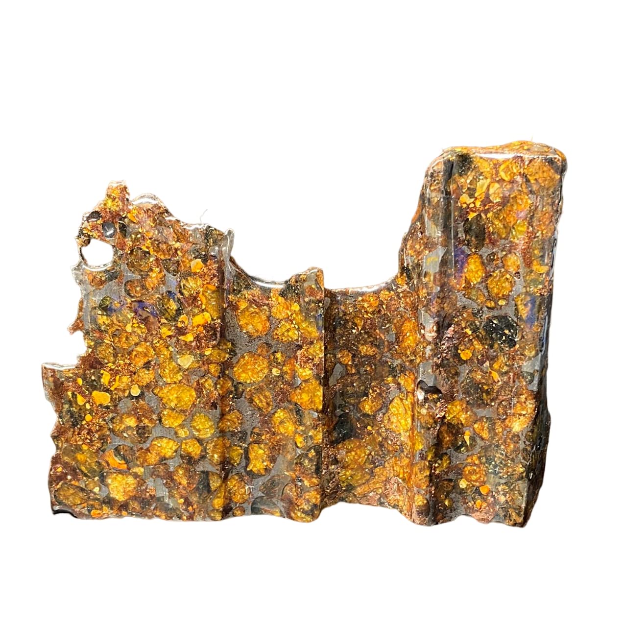 鑑別書付き』 パラサイト隕石 15.9㍉ 石隕石 セリコ隕石 隕石 男女兼用