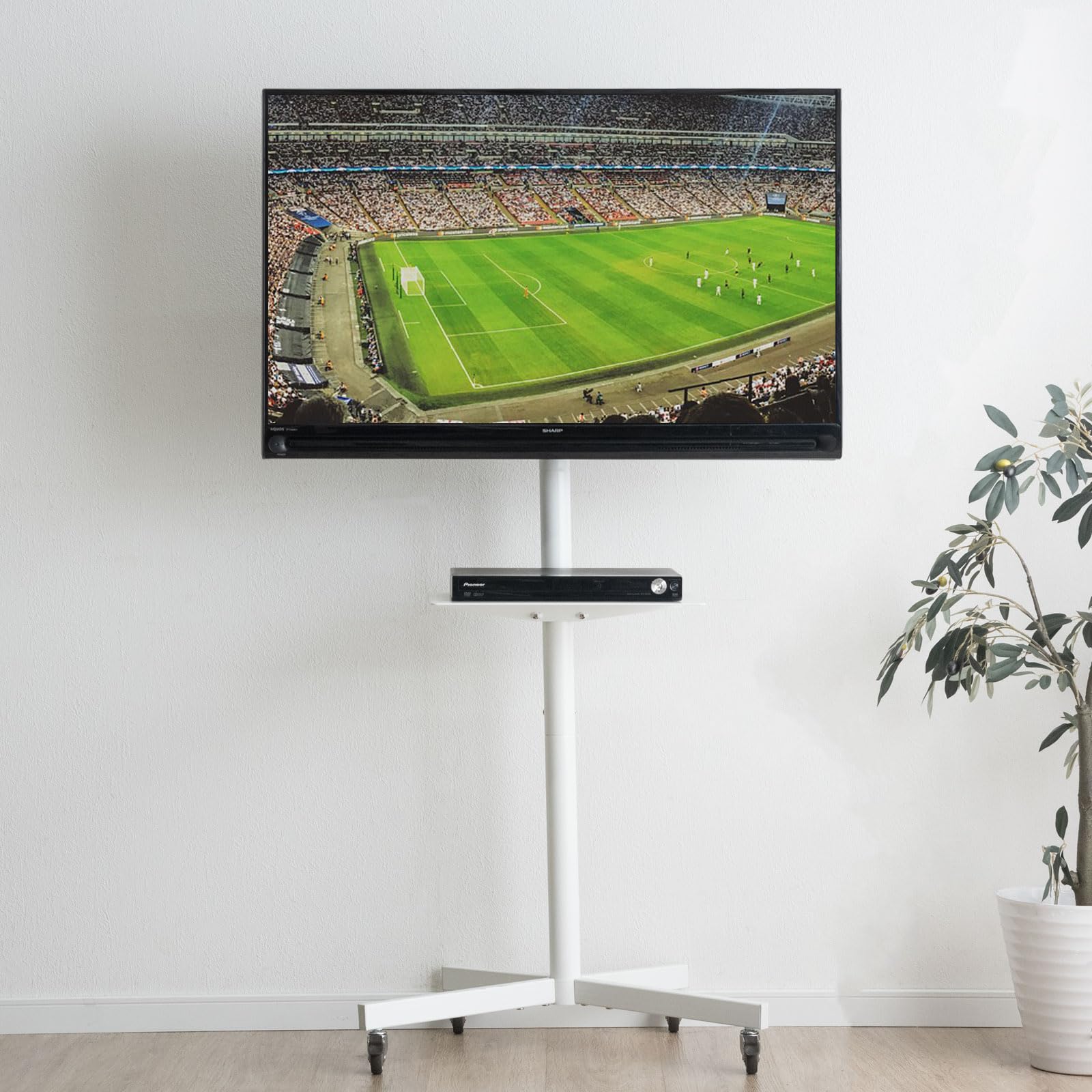 テレビ台➕️杉板 ケンケン❕ THE TV BOARD / LOW TABLE 無垢 杉