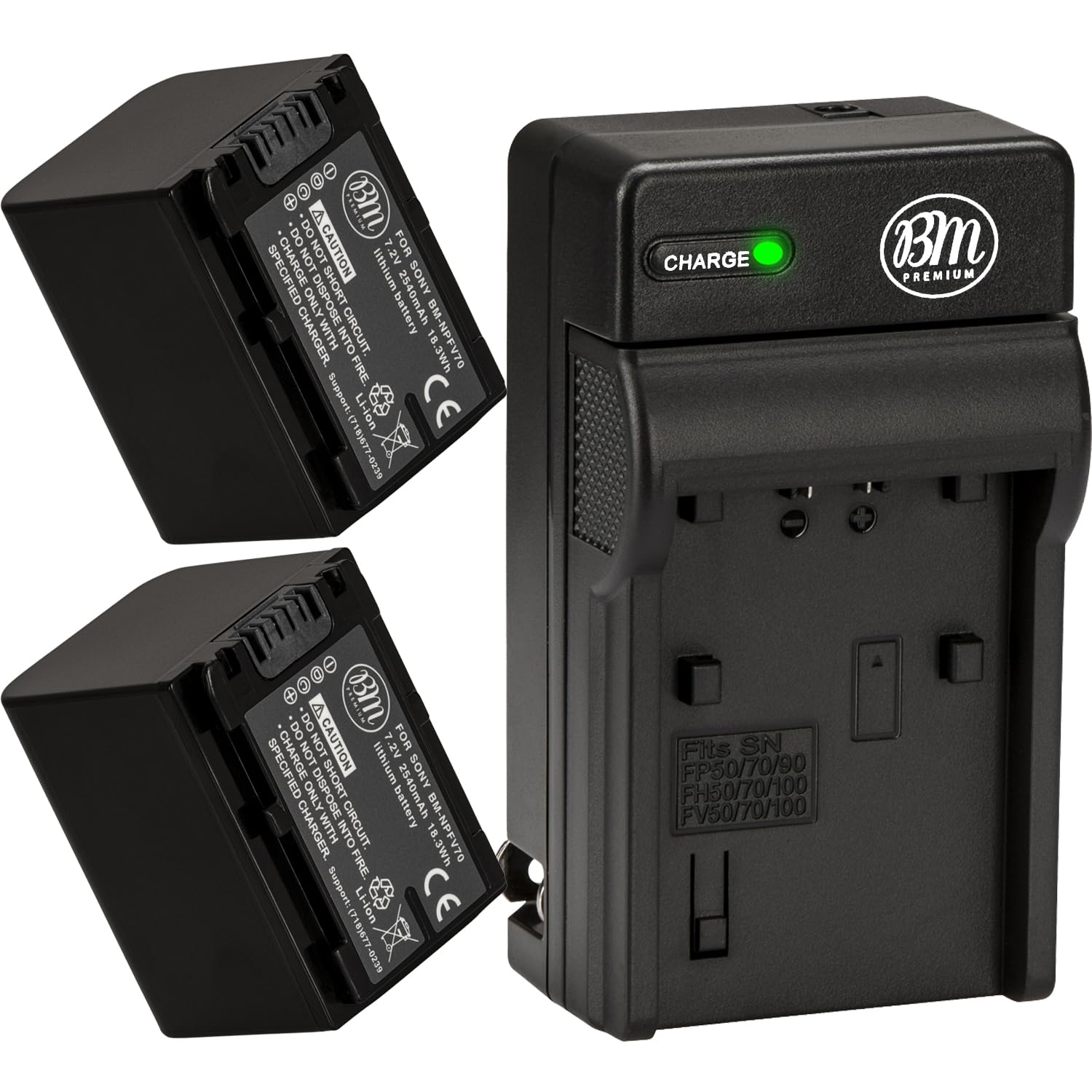 Amazon.com : BM 2 NP-FV70 Batteries and Charger Kit for Sony FDR