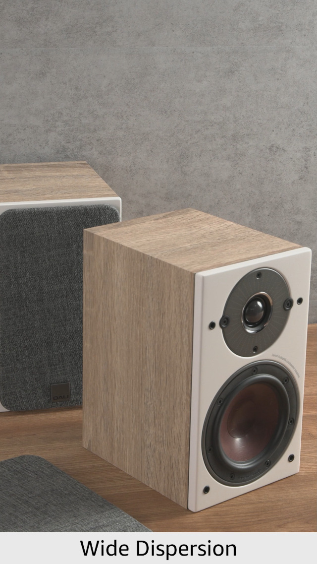 Amazon.com: DALI - Oberon 1 (Light Oak) : Electronics