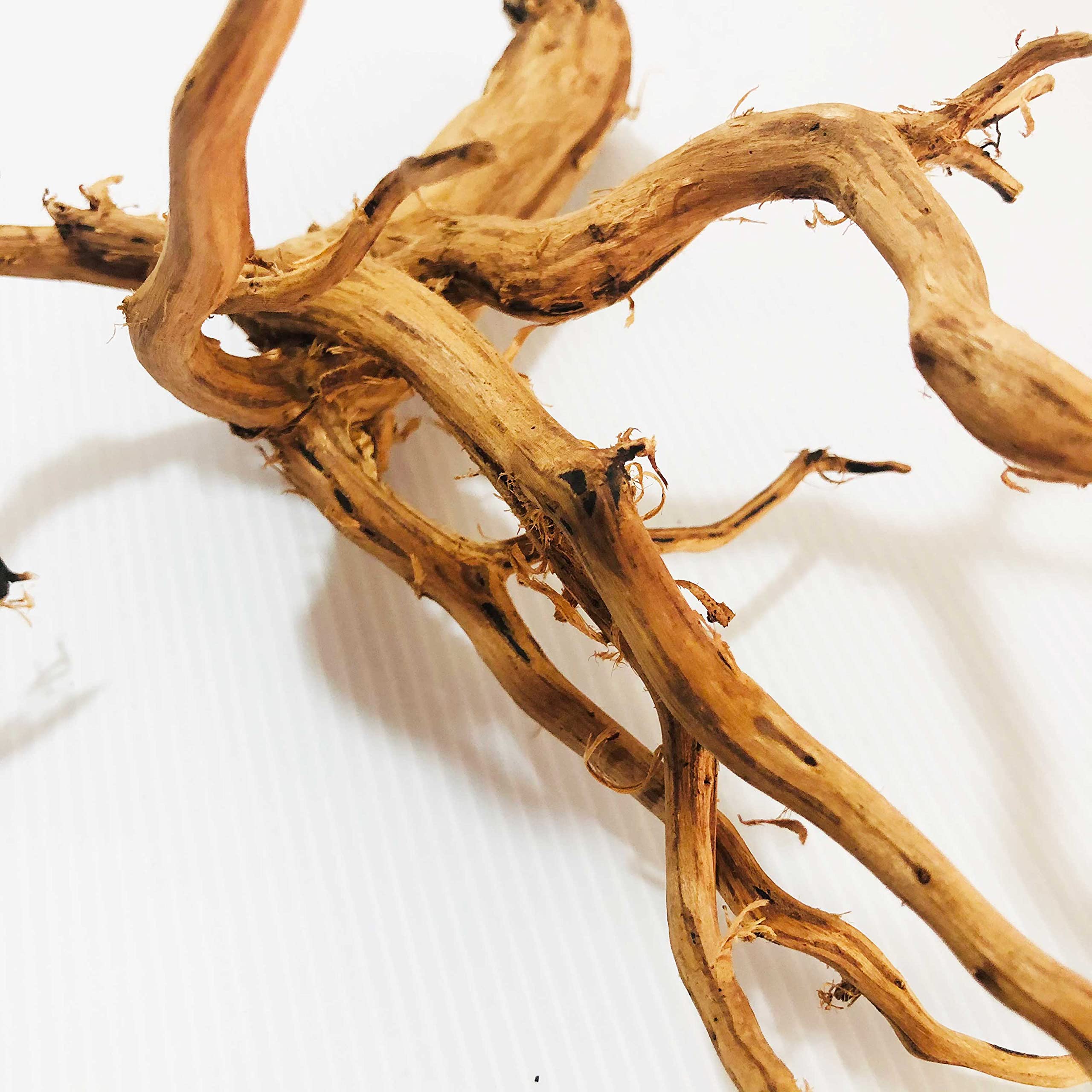 ブラウン系 4本セット】 流木 枝 アクアリウム ブランチウッド 枝流木