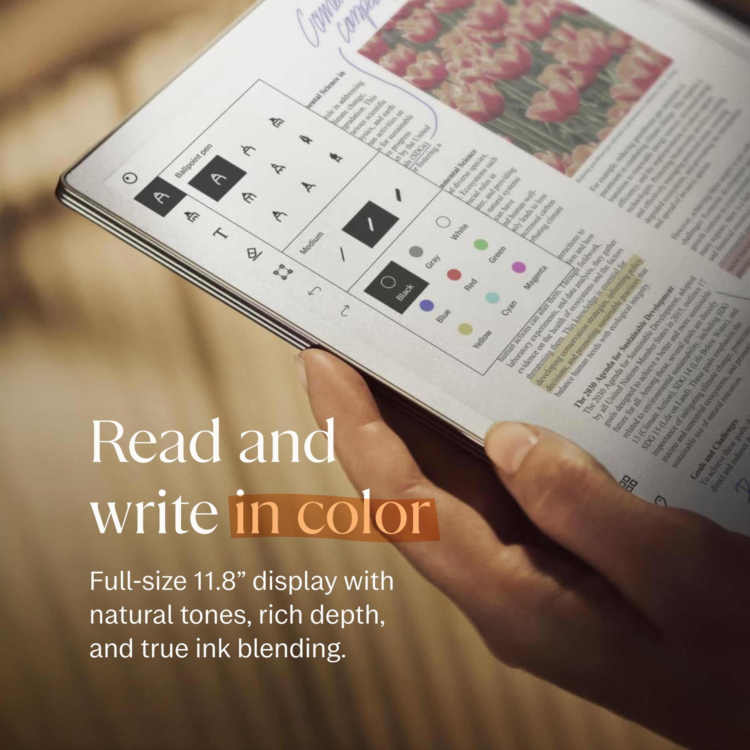 Amazon.com : reMarkable Paper Pro Bundle – Includes 11.8