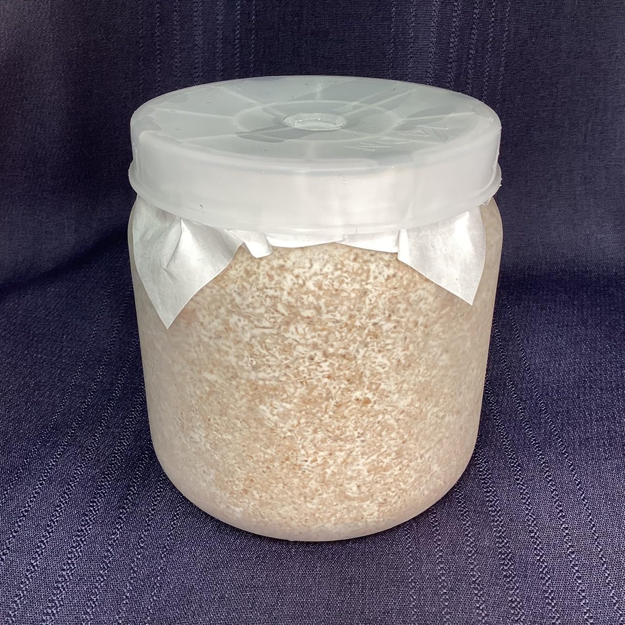 カワラ菌糸瓶1100 10本セット特価最終値引き 楽天市場】カワラタケ