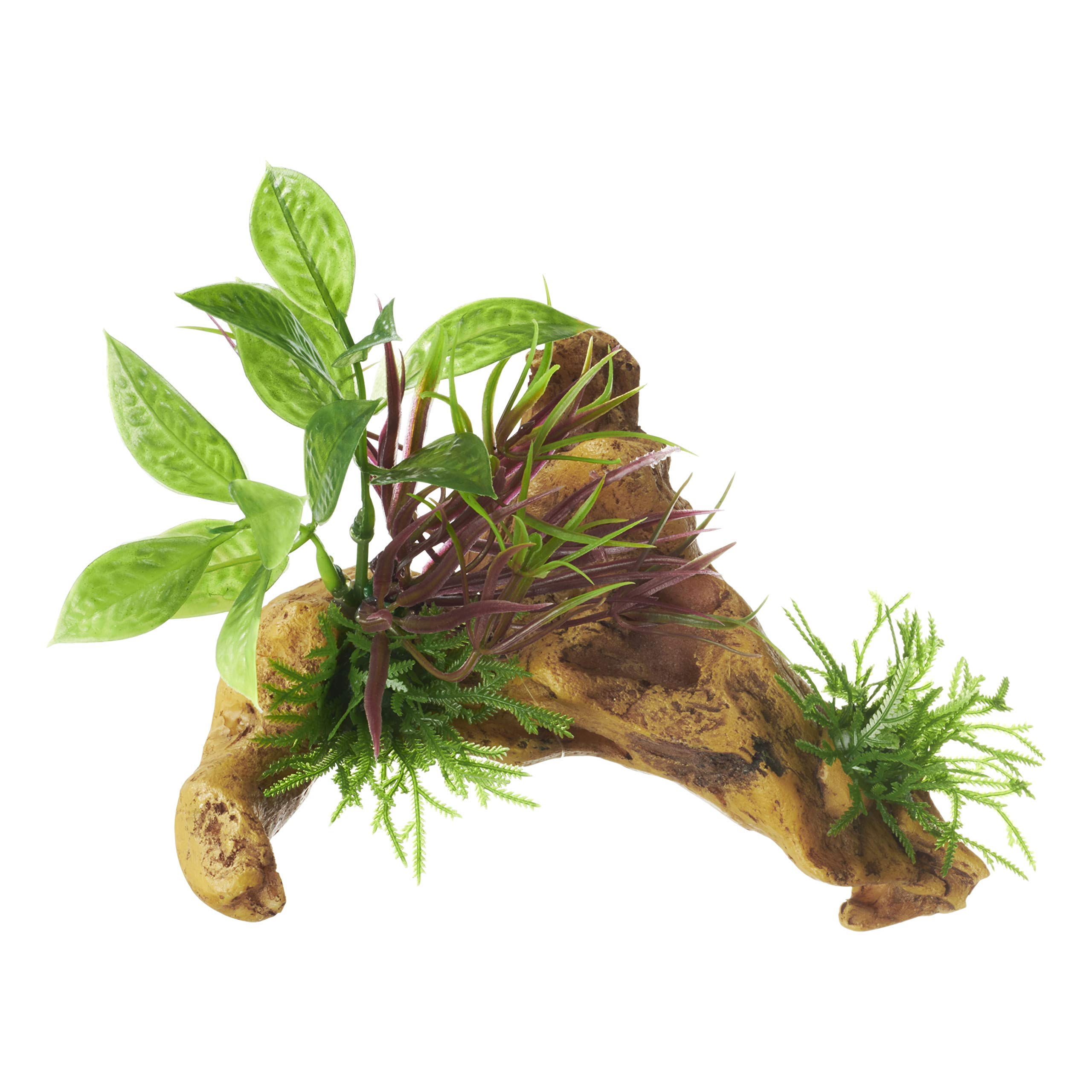 水槽用流木 自然な形状 熱帯魚 約18cm