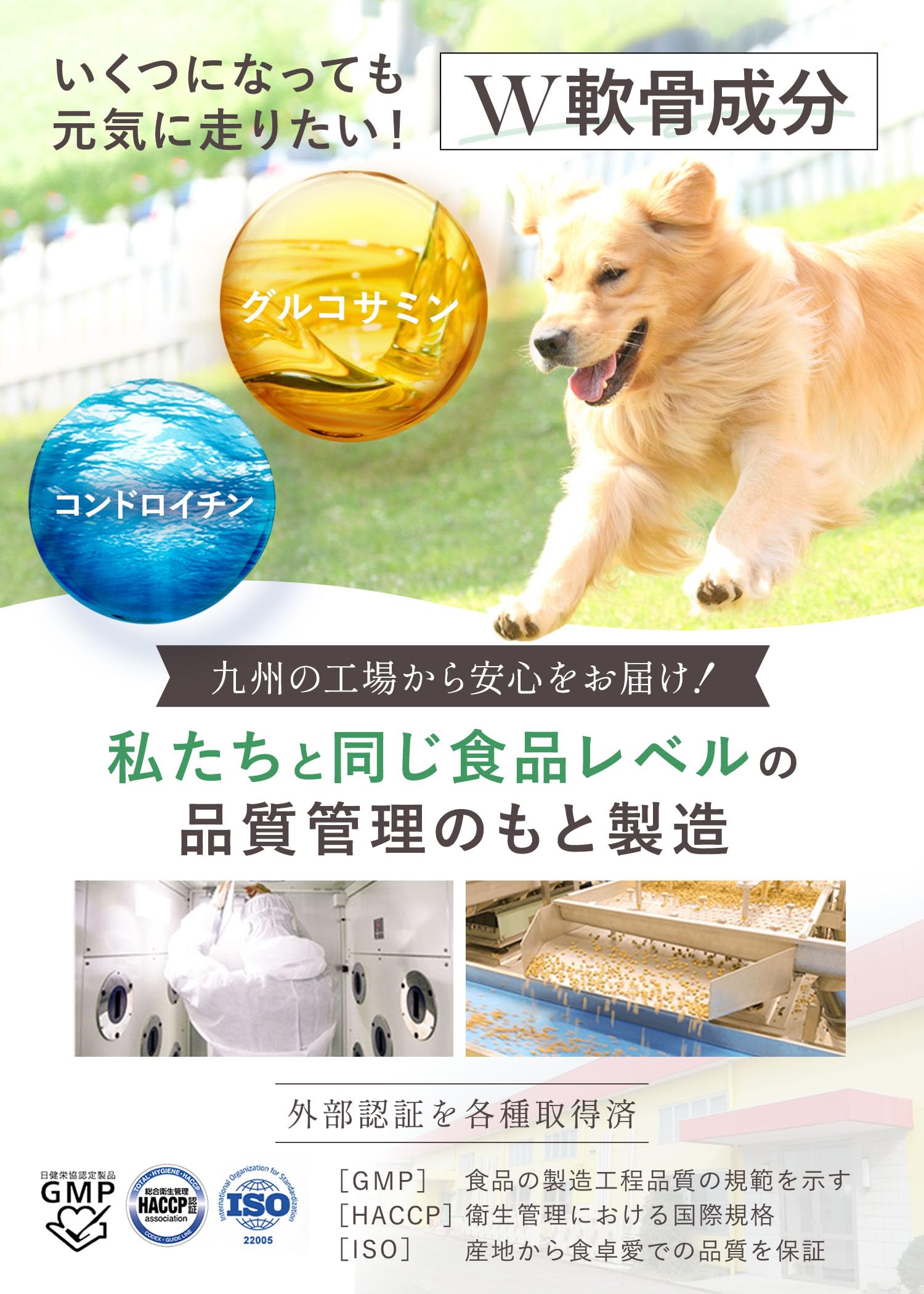 Amazon.co.jp: グレボ GLEBO 国産 ドッグフード [ 獣医師推奨