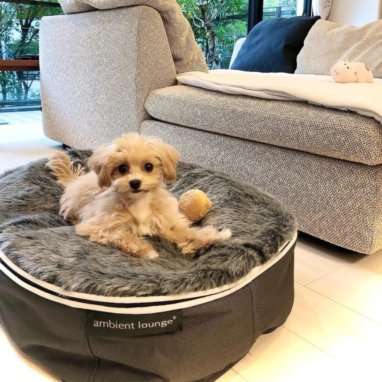 ambient lounge 犬用ペットラウンジSサイズ ペットラウンジ - 撥水性に