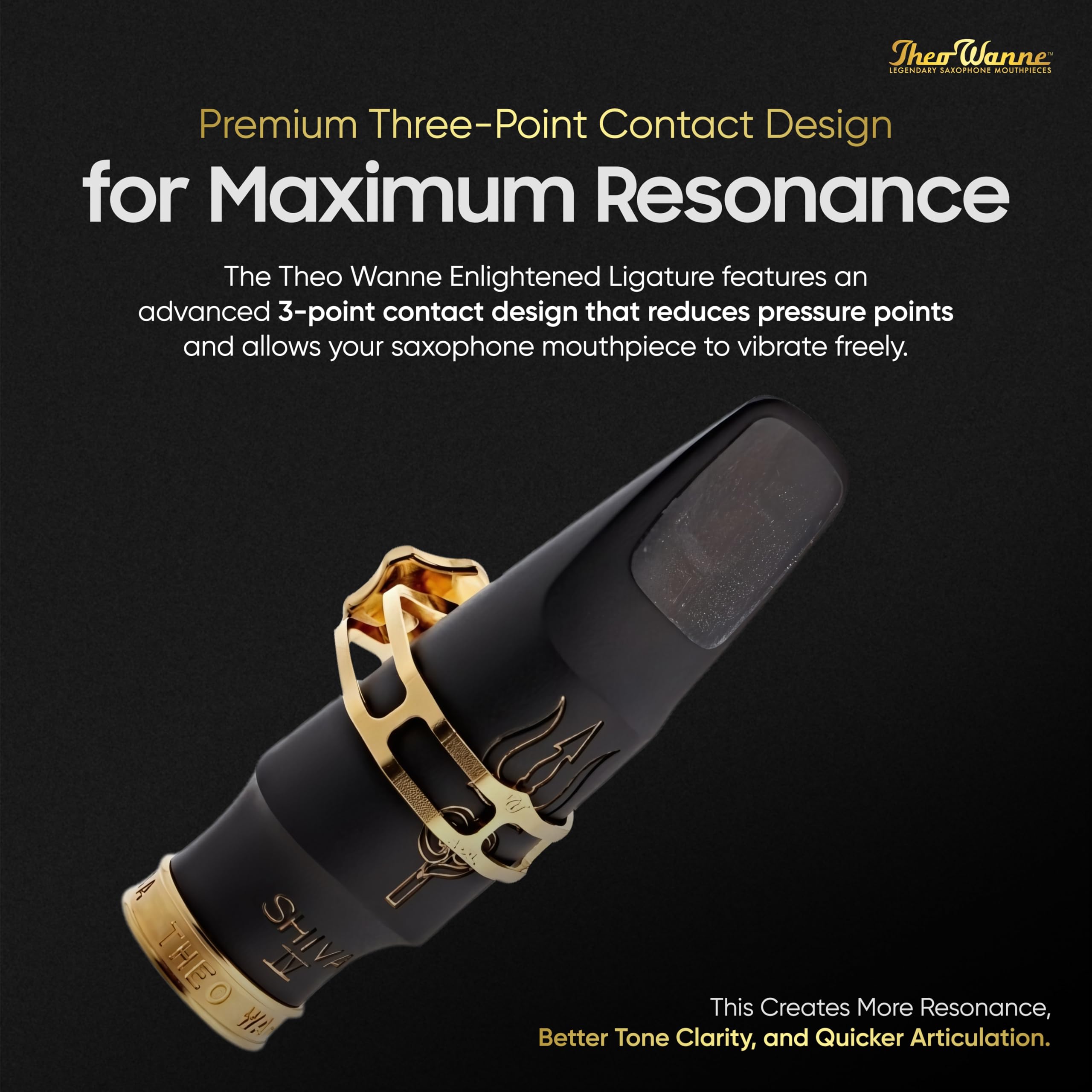 Amazon | Ligature Sax Tenor Theo Wanne ENLIGHTENED T-XL ゴールド