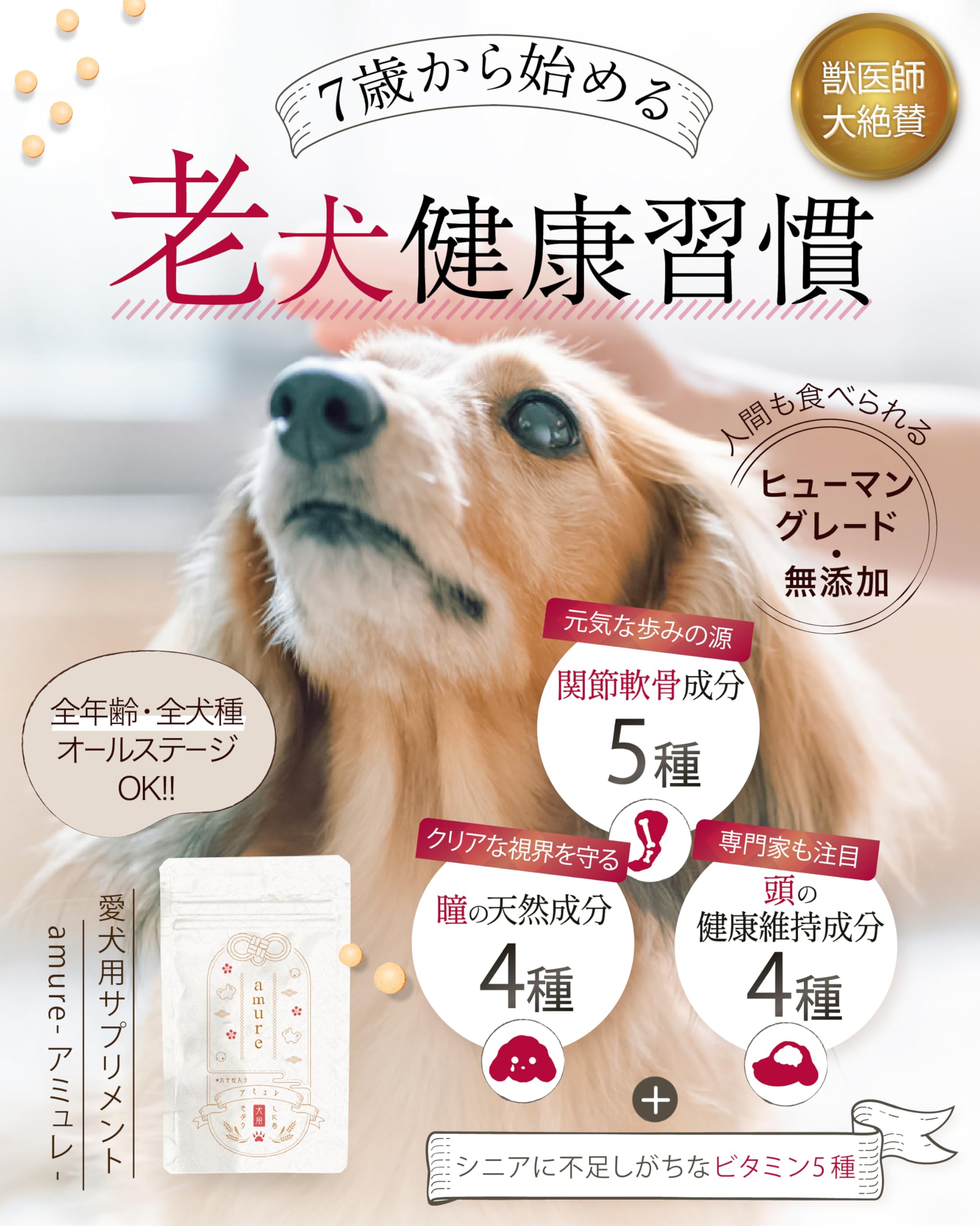 Amazon.co.jp: アミュレ 犬 サプリ シニア犬 目 瞳 頭 関節 獣医師大