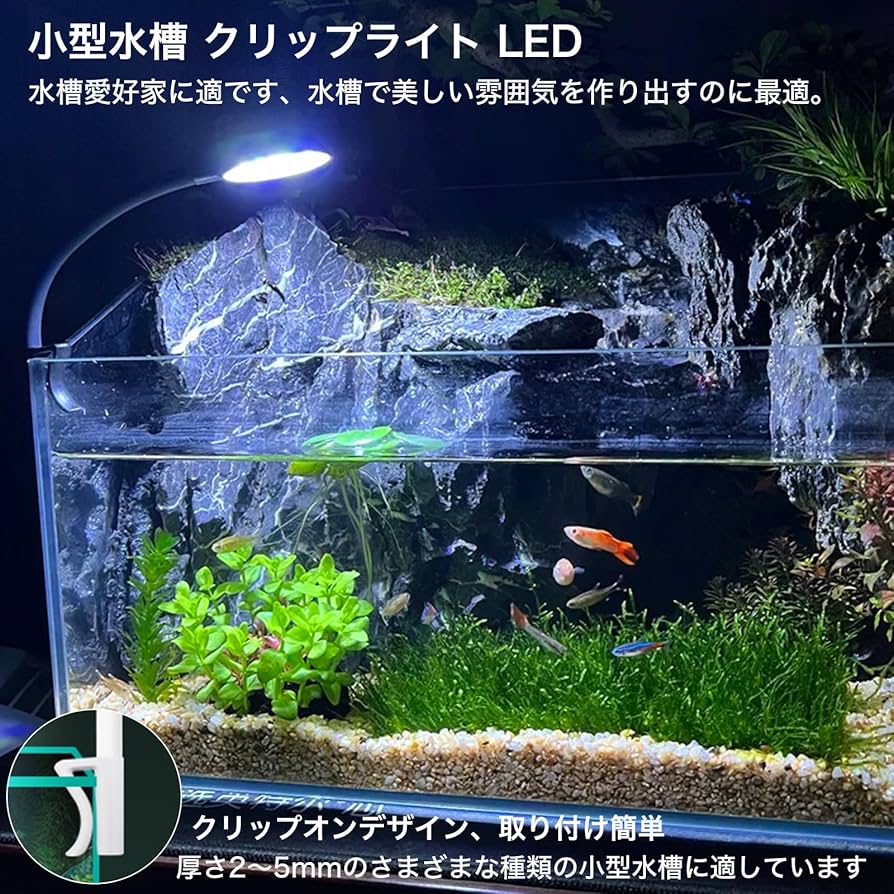 Amazon.co.jp: DARETOTRY 水槽 ライト 小型 アクアリウムライト 14LED