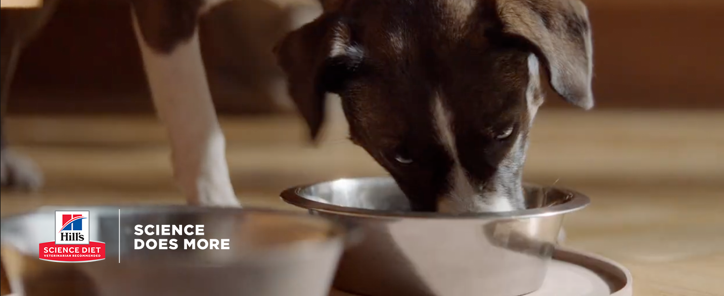 Amazon.com: Hill's Science Diet Puppy, Puppy Premium Nutrition