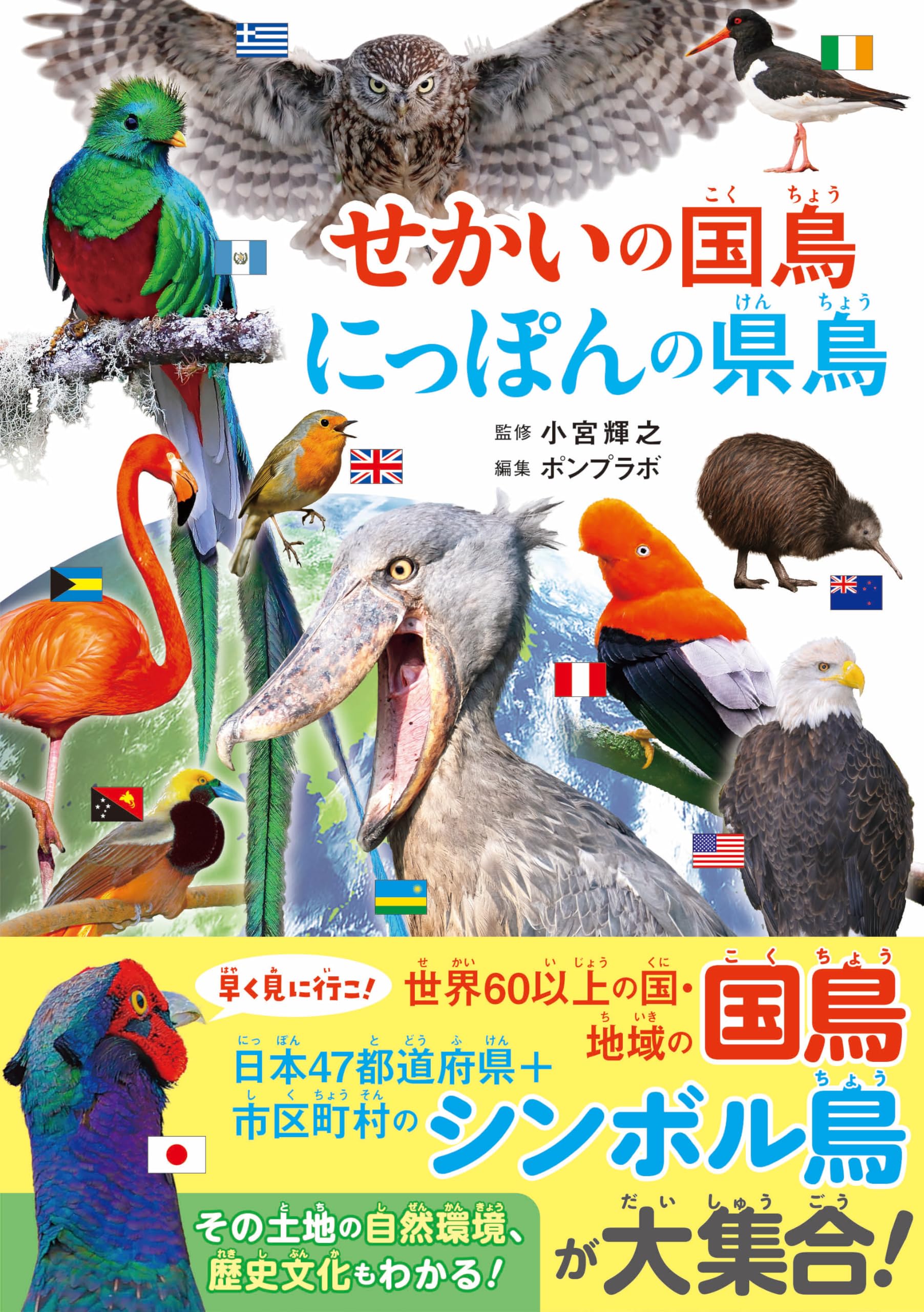 せかいの国鳥 にっぽんの県鳥 | 小宮輝之, ポンプラボ |本 | 通販 | Amazon
