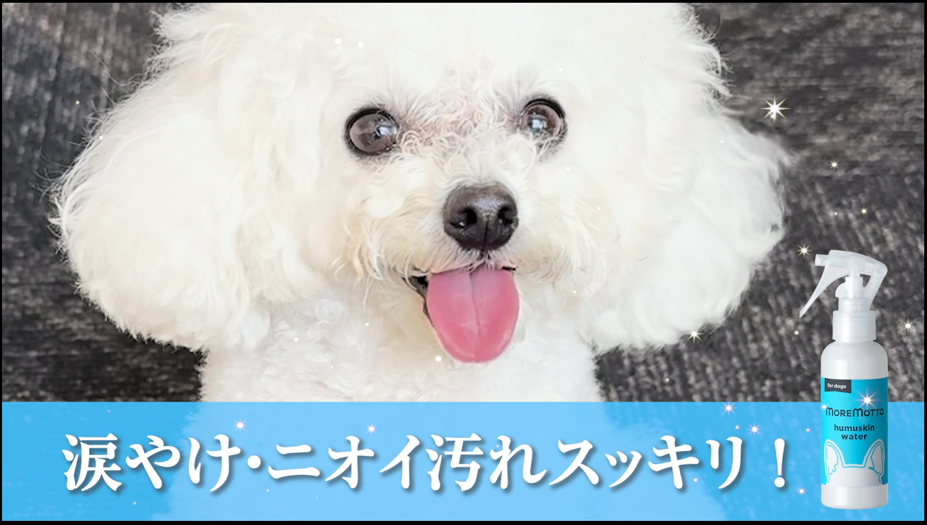 MORE MOTTO フムスキンウォーター 3本【涙やけ】 フムスキンウォーター