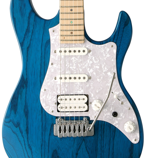 FUJIGEN EOS ASH WB ギター（セミオーダー品） ハードケース付 FUJIGEN