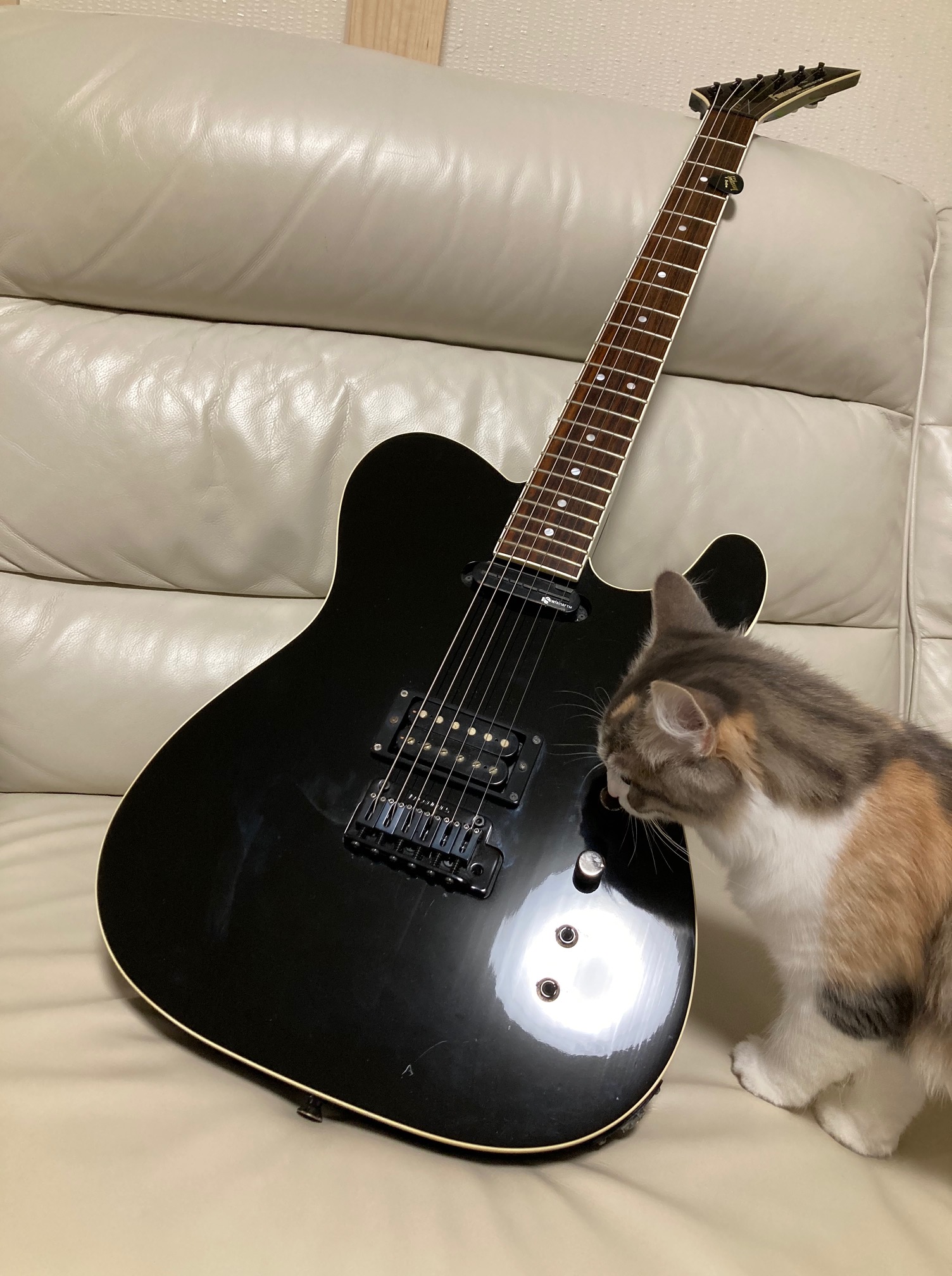 フェルナンデス TEJ-改 布袋モデル ピンクライン EMG-SA 自家製 布袋