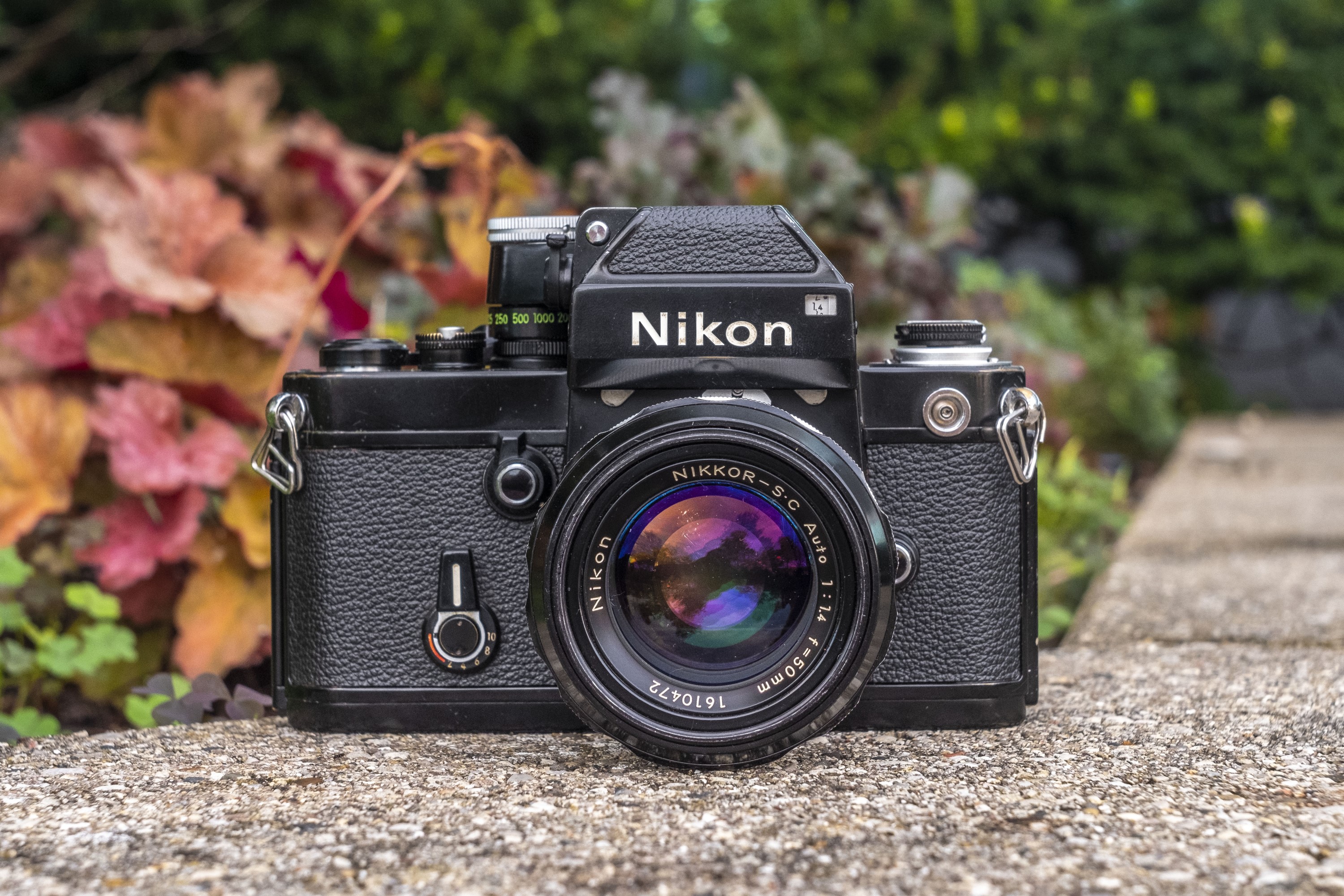 Nikon F2 (1971) - mike eckman dot com