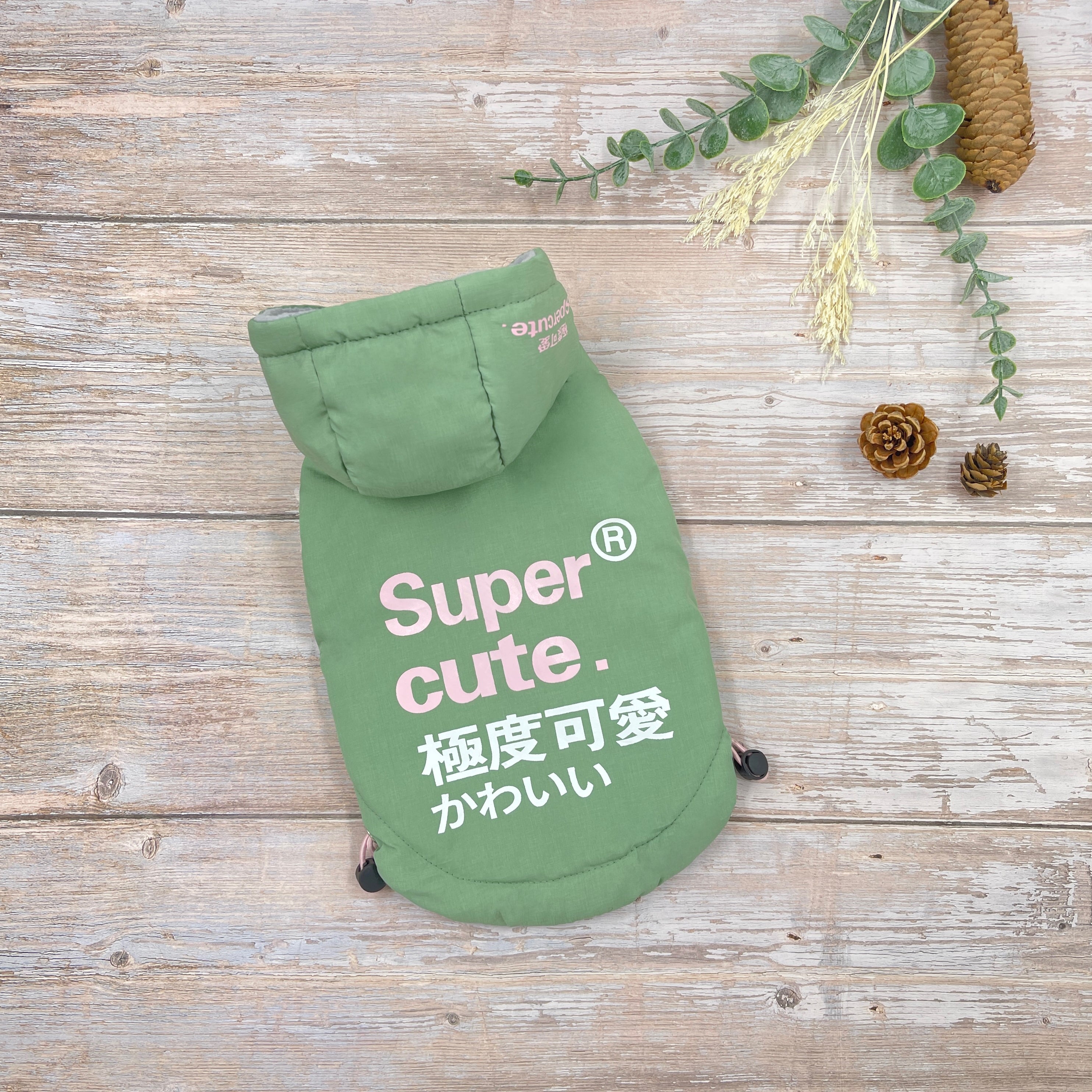 Super Cute Weatherproof Dog Jacket - Mint – Mi Pets