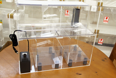 60×30×30オーバーフロー用ろ過槽水中ポンプ仕様 - 熱帯魚のmishima