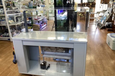 アクリル水槽 120cm｜アクリル水槽 - 熱帯魚のmishima